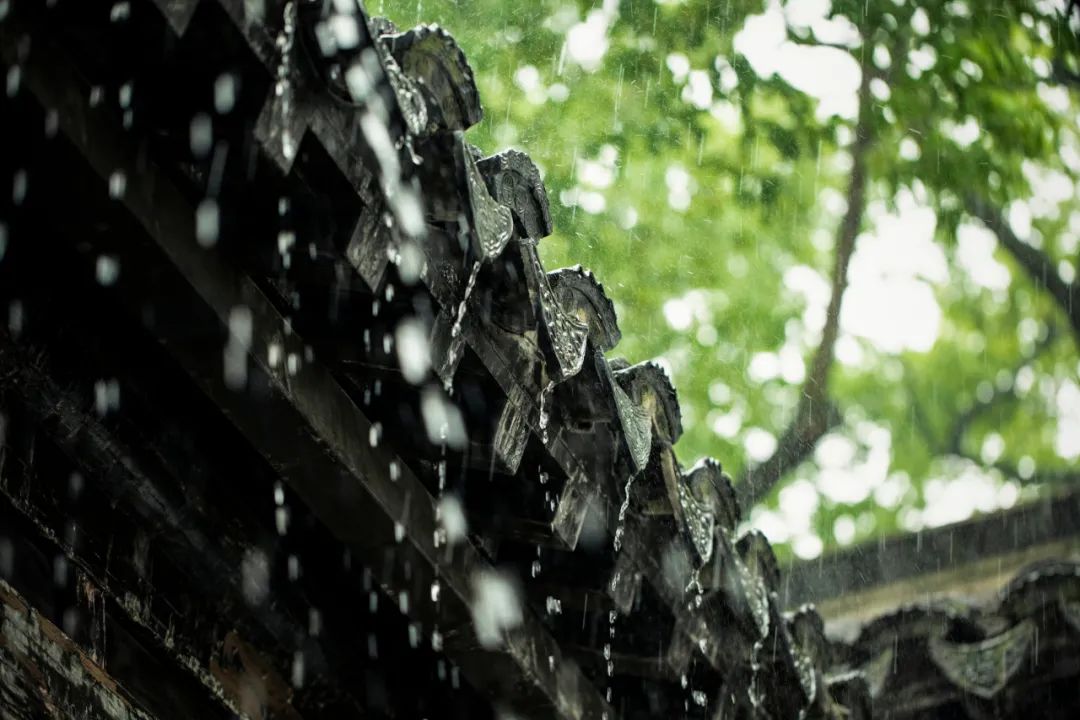 下雨天怎么拍才美？5个春雨的拍摄技巧！_秀人网摄影