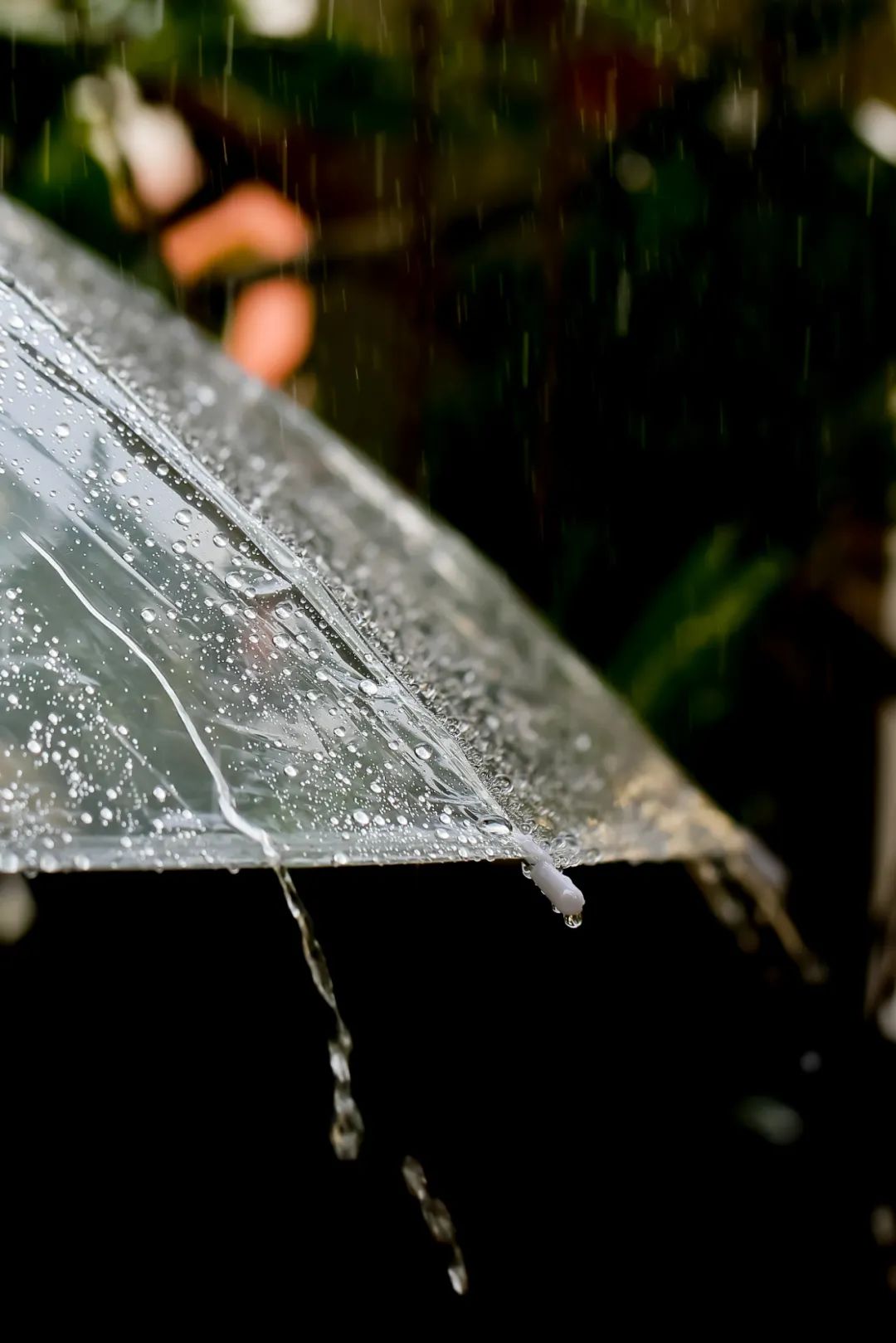 下雨天怎么拍才美？5个春雨的拍摄技巧！_秀人网摄影