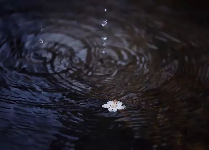 下雨天怎么拍才美？5个春雨的拍摄技巧！_秀人网摄影