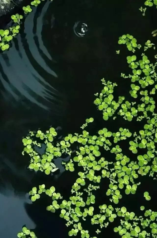 下雨天怎么拍才美？5个春雨的拍摄技巧！_秀人网摄影