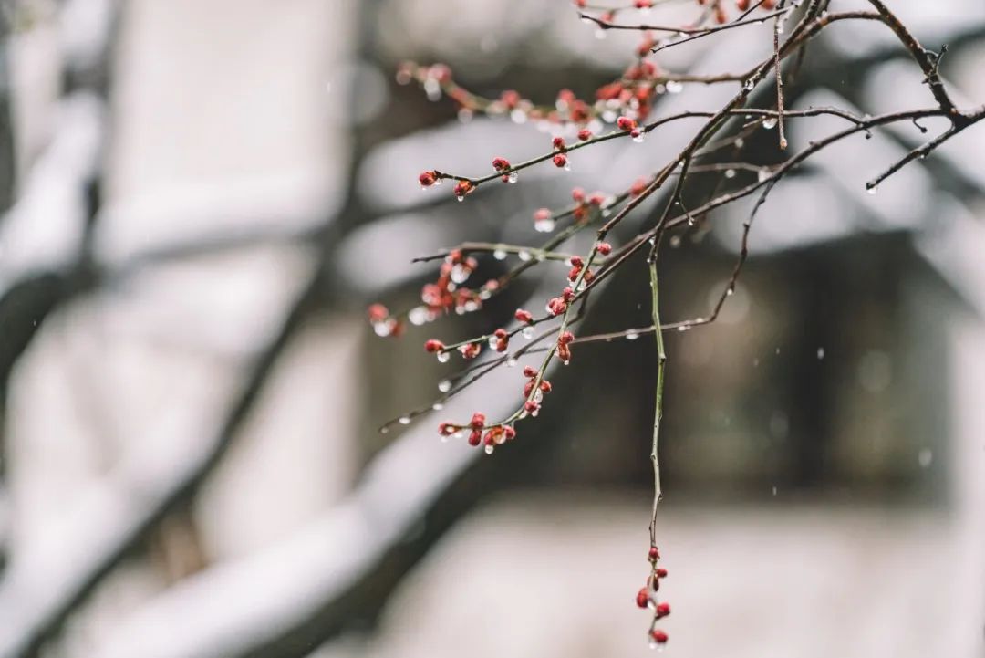 下雨天，5个拍摄技巧营造独特意境感！_秀人网摄影