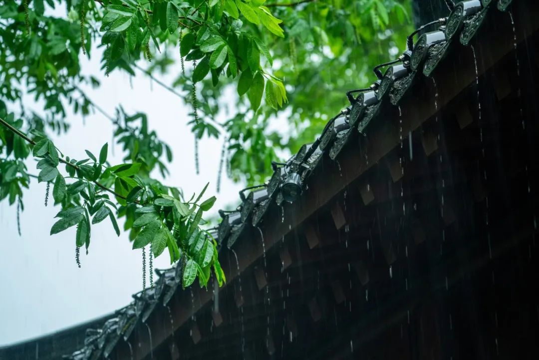 下雨天，5个拍摄技巧营造独特意境感！_秀人网摄影