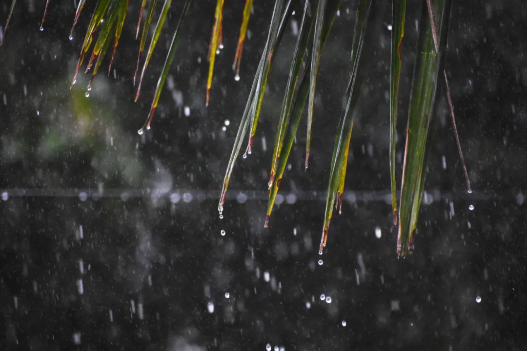 下雨天，5个拍摄技巧营造独特意境感！_秀人网摄影